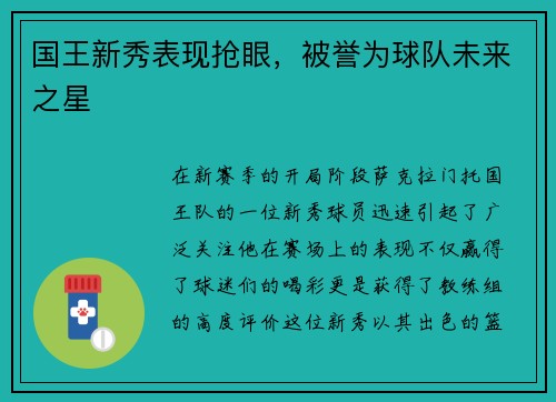 国王新秀表现抢眼，被誉为球队未来之星
