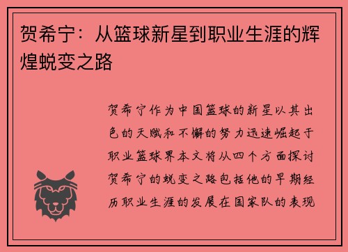 贺希宁：从篮球新星到职业生涯的辉煌蜕变之路