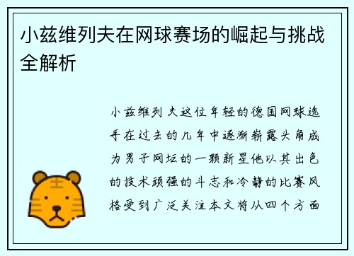 小兹维列夫在网球赛场的崛起与挑战全解析