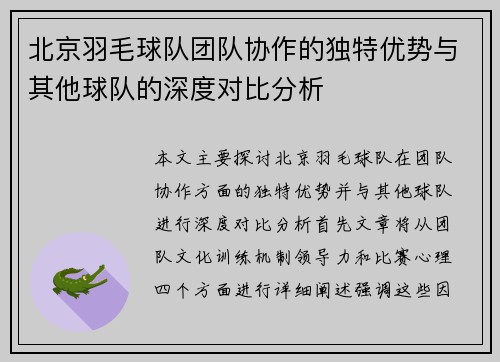 北京羽毛球队团队协作的独特优势与其他球队的深度对比分析